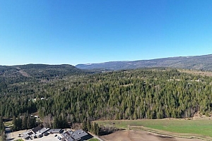 28 Gardom Lake Road - Photo 10