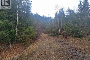 28 Gardom Lake Road - Photo 3