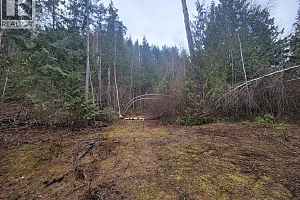 28 Gardom Lake Road - Photo 6