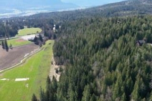 28 Gardom Lake Road - Photo 9