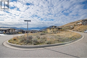 300 Silversage Bluff Lane Lot# 13 - Photo 5