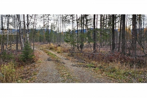 38 Campbell Road - Photo 3