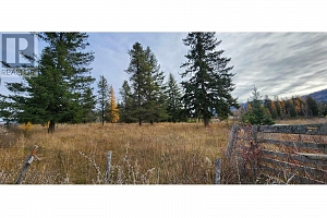 20 Campbell Road - Photo 4