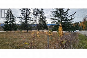 20 Campbell Road - Photo 6