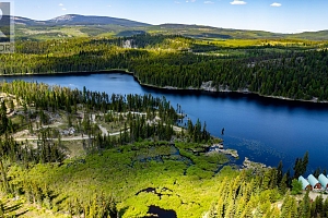 9280 Paradise Road - Photo 18