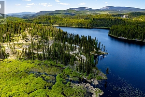 9280 Paradise Road - Photo 19