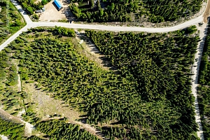 9280 Paradise Road - Photo 2