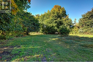 3035 Pleasant Valley Road - Photo 41