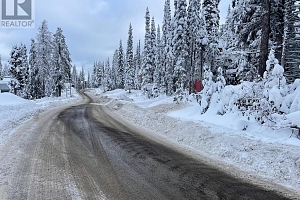 555 Monashee Road - Photo 2