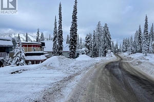 555 Monashee Road - Photo 3