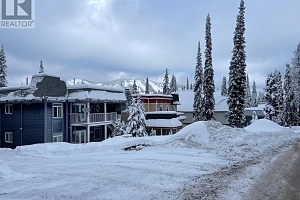 555 Monashee Road - Photo 4