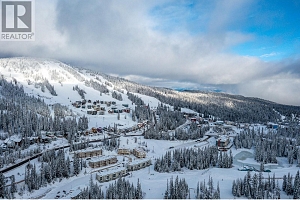 30 Monashee Road Unit# 310 - Photo 19