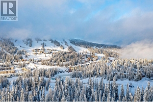 30 Monashee Road Unit# 310 - Photo 20