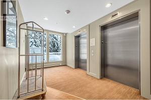 30 Monashee Road Unit# 310 - Photo 25