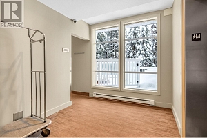 30 Monashee Road Unit# 310 - Photo 27