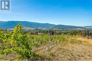9269 Highway 6 - Photo 19
