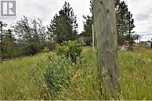 383 Lakewood Road - Photo 5