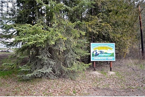 8525 Silver Star Road - Photo 2