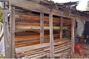 8525 Silver Star Road - Photo 4