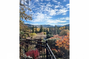 3888 Salmon River Road - Photo 57
