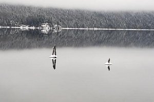 3602 Mabel Lake Road Unit# 5 - Photo 47