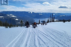 3602 Mabel Lake Road Unit# 5 - Photo 48