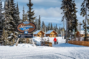 355 Feathertop Way - Photo 11