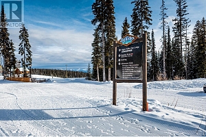 355 Feathertop Way - Photo 12