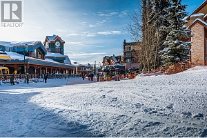 355 Feathertop Way - Photo 18