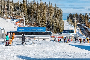 355 Feathertop Way - Photo 19