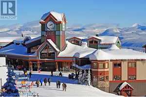 355 Feathertop Way - Photo 21