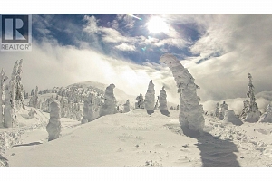 355 Feathertop Way - Photo 23