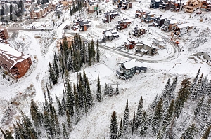 355 Feathertop Way - Photo 4