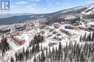 355 Feathertop Way - Photo 9