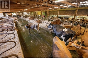 9982 97B Highway - Photo 13