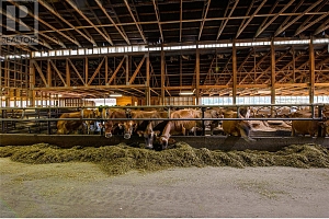 9982 97B Highway - Photo 14