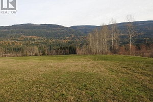 110 Parsons Road - Photo 11