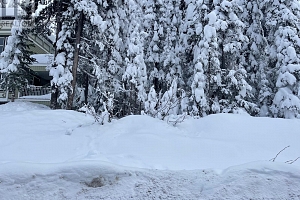 485 Monashee Road - Photo 2