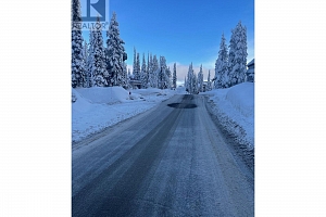 485 Monashee Road - Photo 3