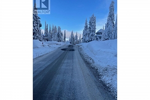 485 Monashee Road - Photo 4