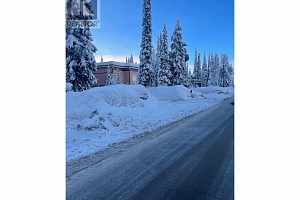 485 Monashee Road - Photo 5