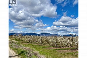 3844 Senger Road - Photo 6