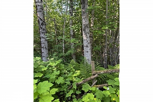 3854 Trinity Valley Road - Photo 13