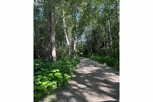 3854 Trinity Valley Road - Photo 14