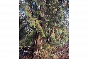 3854 Trinity Valley Road - Photo 16