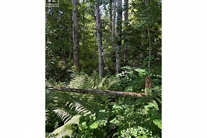 3854 Trinity Valley Road - Photo 17