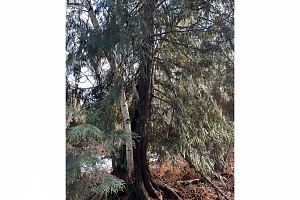 3854 Trinity Valley Road - Photo 18