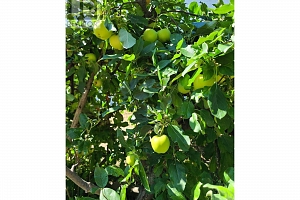 766 Coopland Crescent - Photo 4