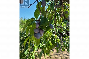 766 Coopland Crescent - Photo 5