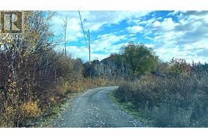 3995 Swamp Road - Photo 2